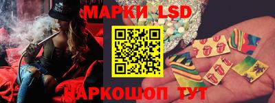 дмт Будённовск