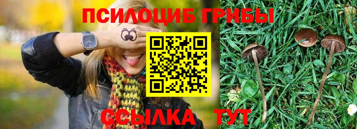 Псилоцибиновые грибы Magic Shrooms Петрозаводск