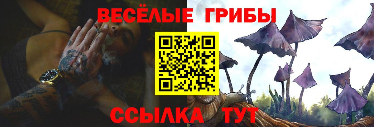 Галлюциногенные грибы MAGIC MUSHROOMS  Вход с VPN  Петрозаводск  Псилоцибиновые грибы GOLDEN TEACHER 
